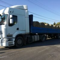 50758865_507795356410361_780170355368001536_n